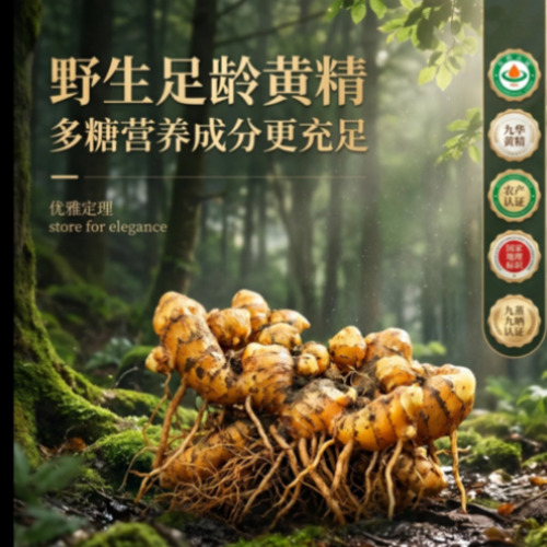 菁选灵创创作流程展示